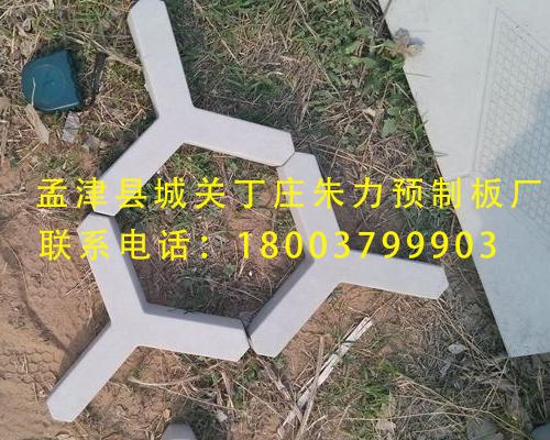 1507718041.jpg